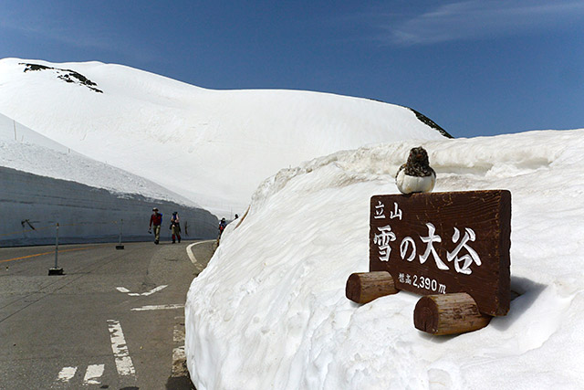 室堂・雪の大谷