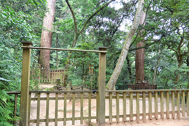 八重垣神社奥の院・佐久佐女の森