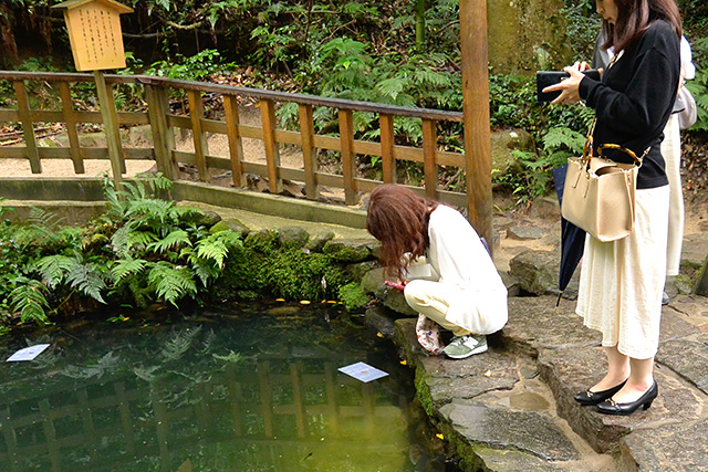 八重垣神社奥の院・佐久佐女の森・鏡の池