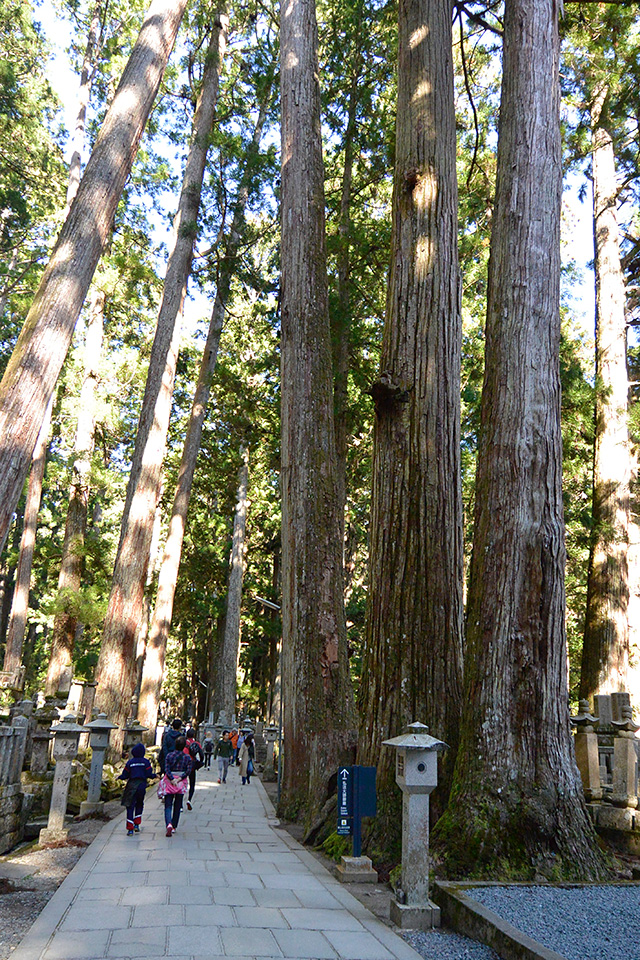 根本大塔・奥の院