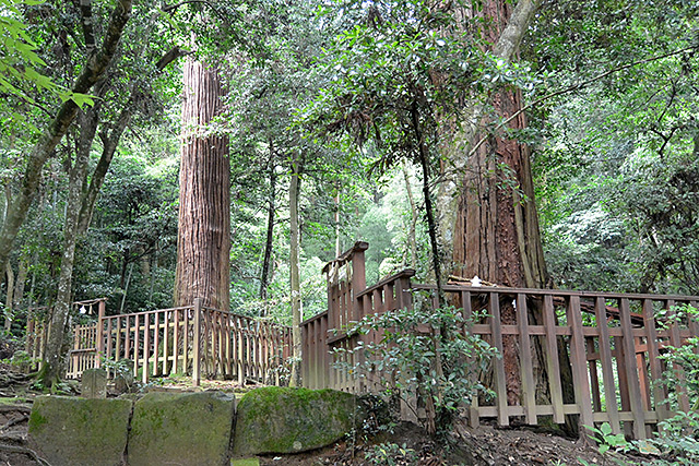 八重垣神社