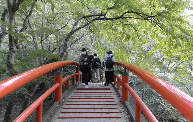 河鹿橋