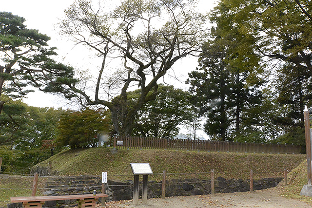 西櫓台　石垣・石段