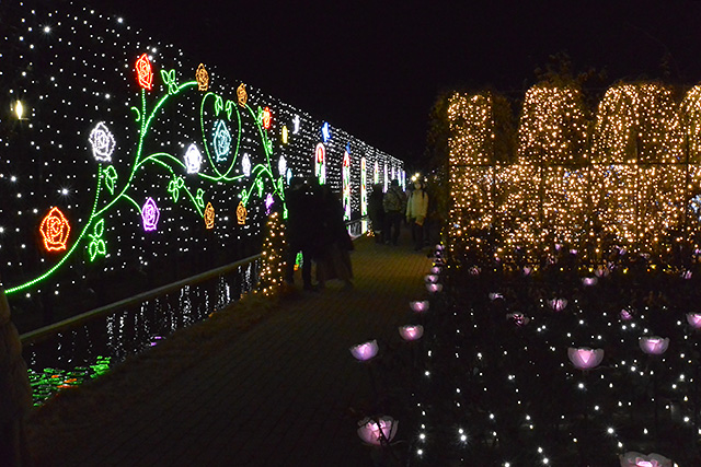 外壁と光のバラ園