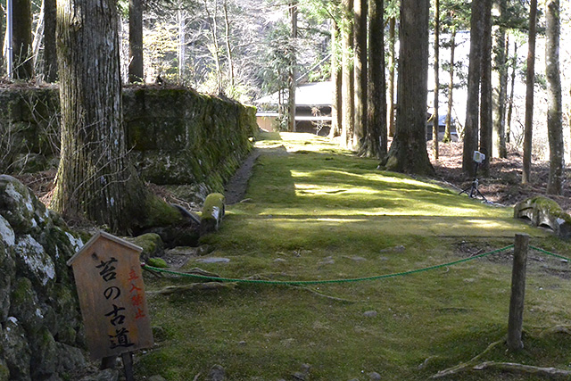 苔の古道