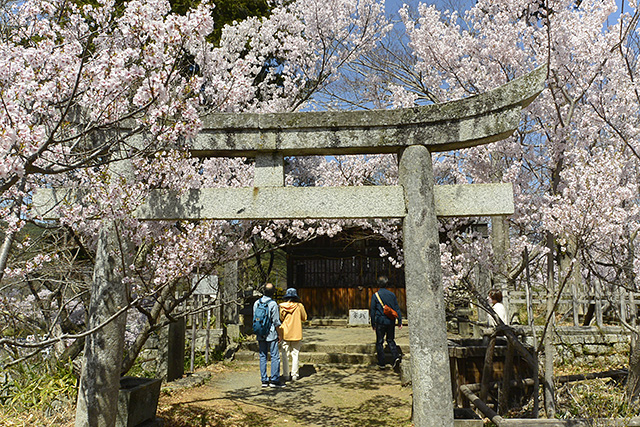 新城藤原神社