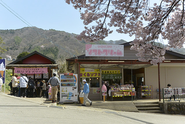 桜ソフトクリーム店