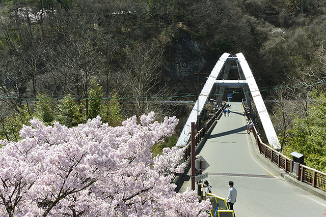 白山橋