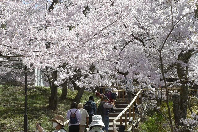 グラウンドゲートより入園