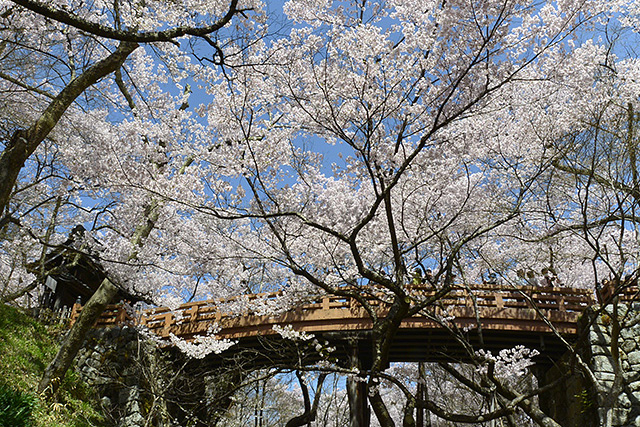 桜雲橋