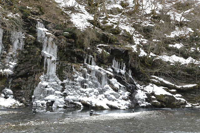 三十槌の氷柱