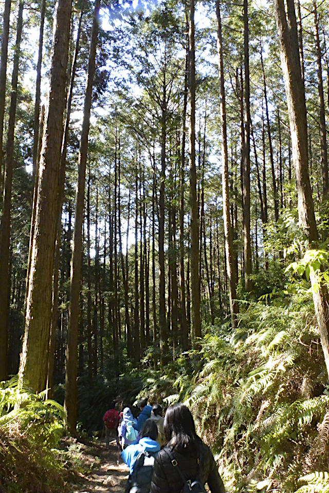 熊野古道