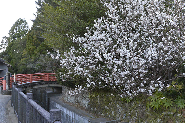 神倉神社