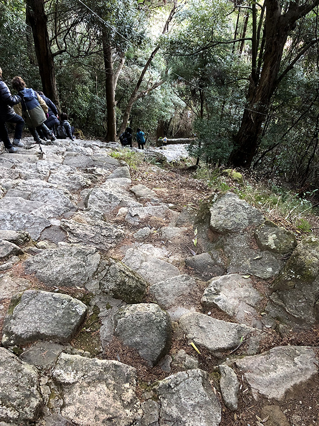 神倉神社の石段