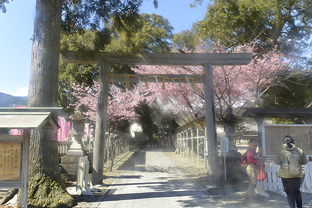 尾鷲神社の鳥居