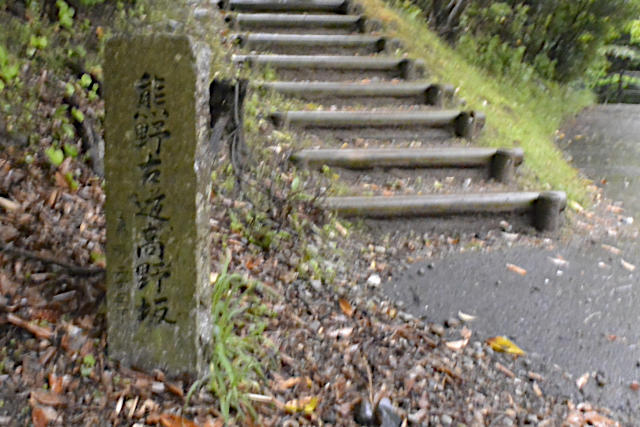 熊野古道高野坂