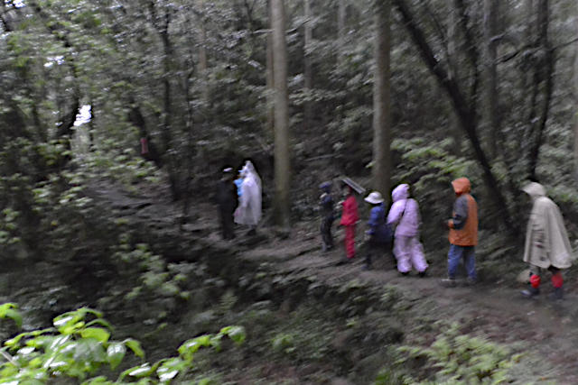 熊野古道高野坂