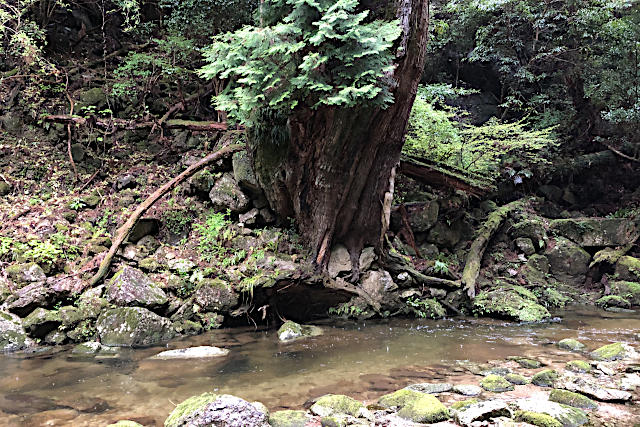 那智山・神秘ウォーク