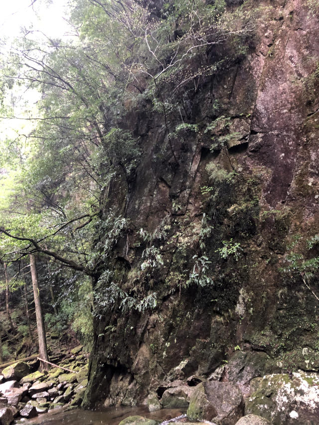 那智の滝・神秘ウォーク