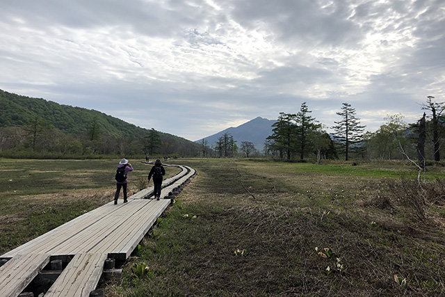 尾瀬ヶ原