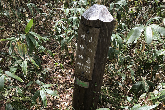 鳩待峠の標識