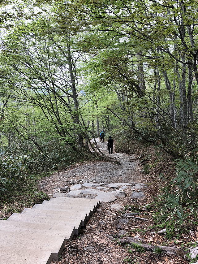 鳩待峠