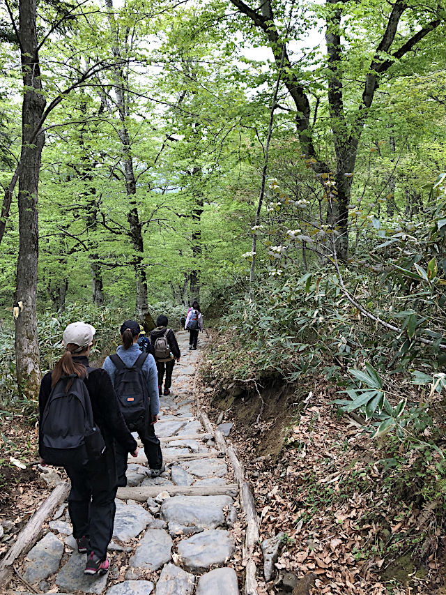 鳩待峠