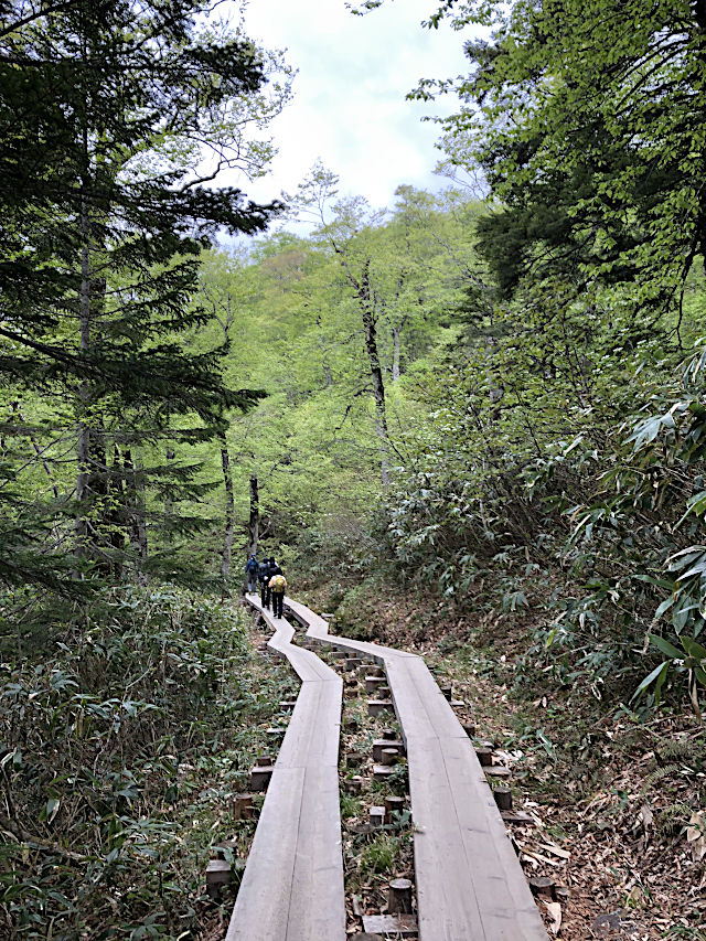 鳩待峠