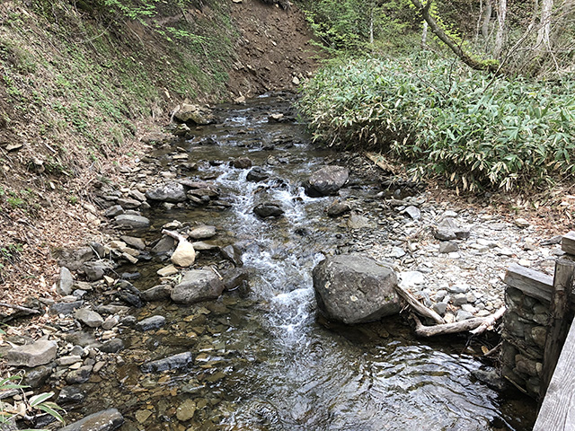 尾瀬の沢