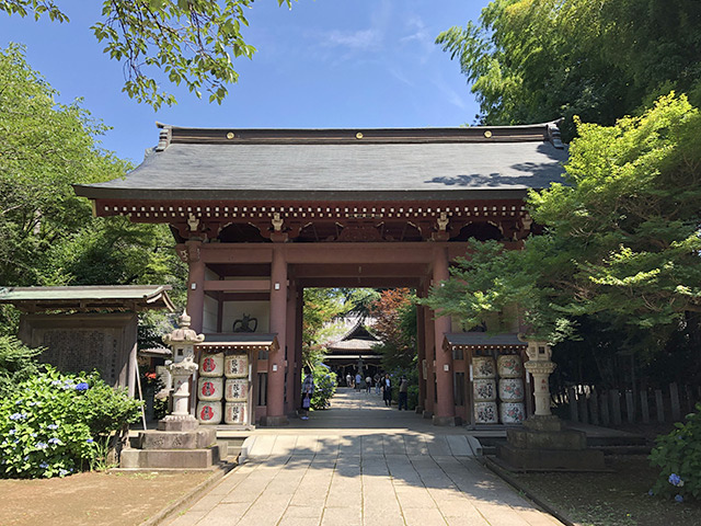 大宝八幡宮・随神門