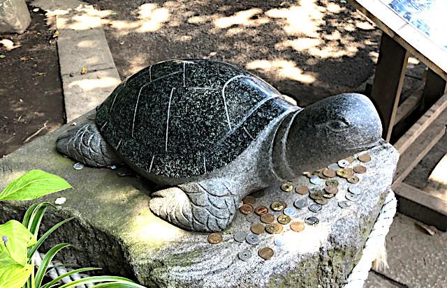 金運の海亀