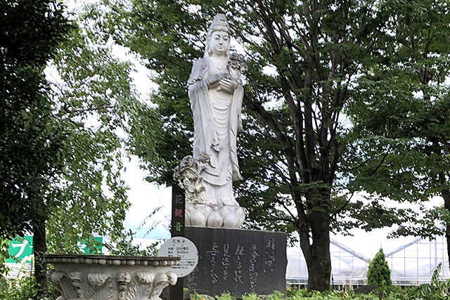 ハーブ庭園旅日記の花観音