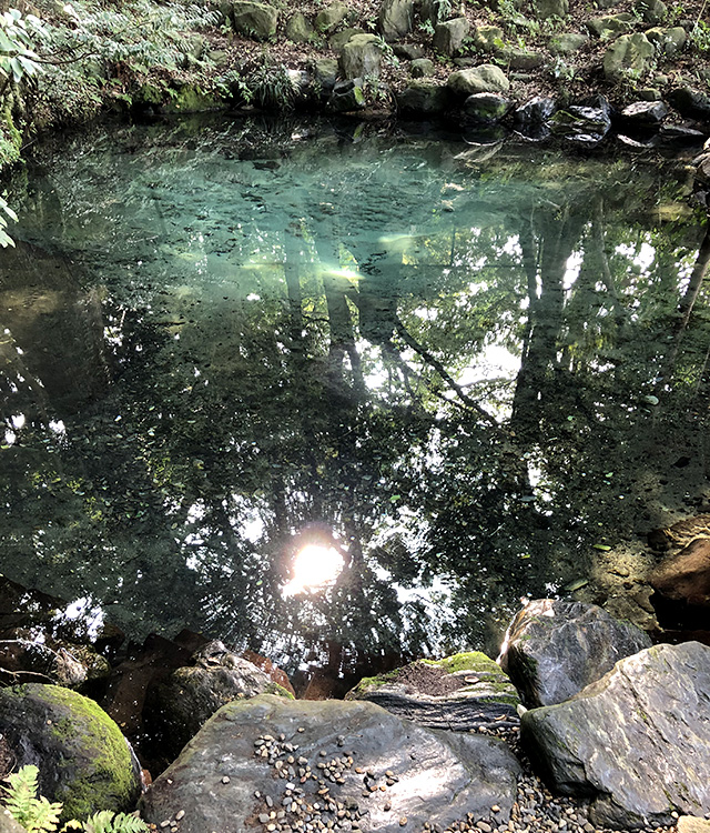 泉神社の湧水