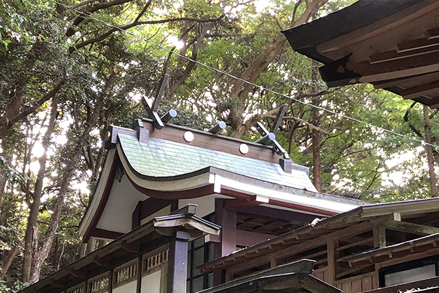 泉神社の本殿