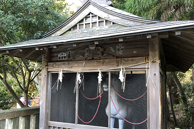 大洗磯前神社の神馬舎