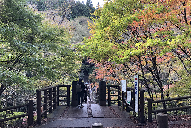 汐見滝吊り橋