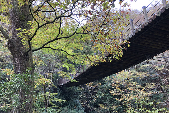 汐見滝吊り橋