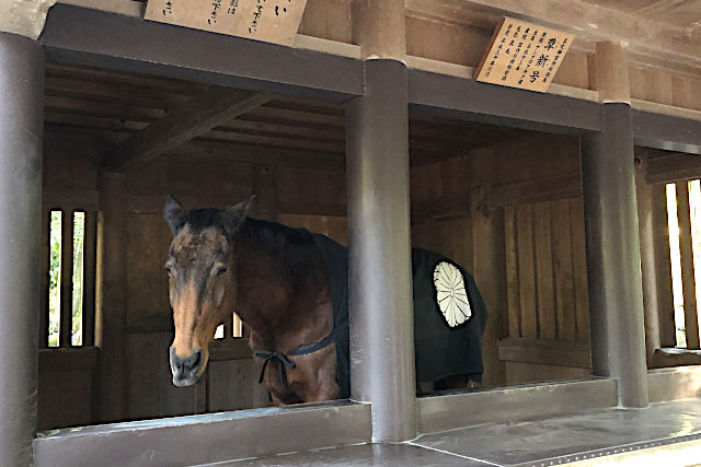 内宮・御厩の草新号