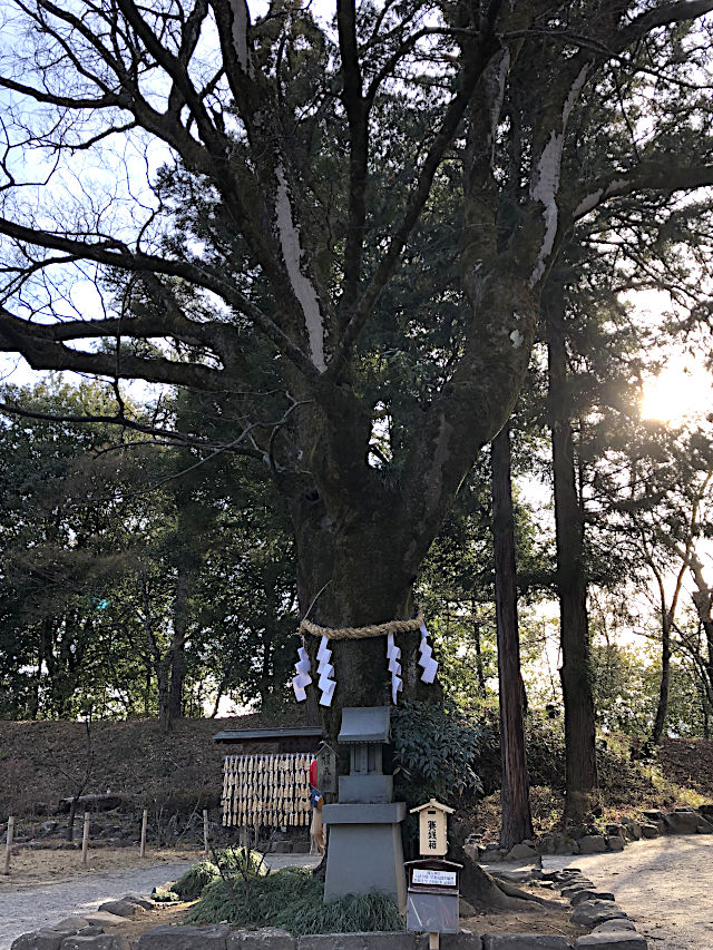 榎天神社