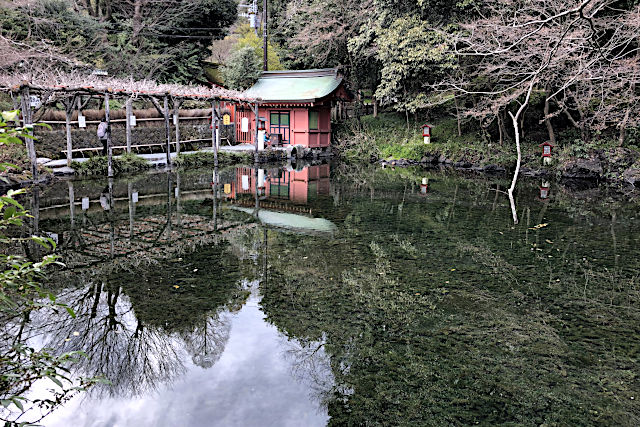 富士山本宮浅間大社・湧玉池