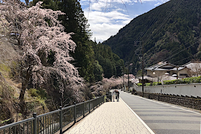 せいしん駐車場から三門へ