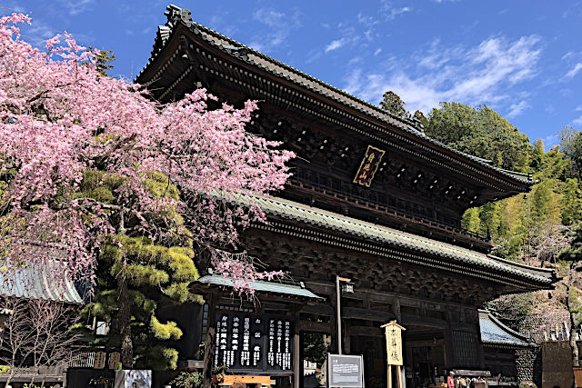 身延山久遠寺の三門