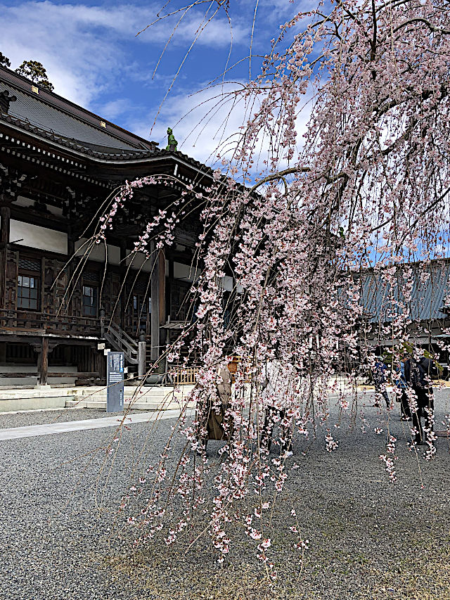 身延山久遠寺・仏殿