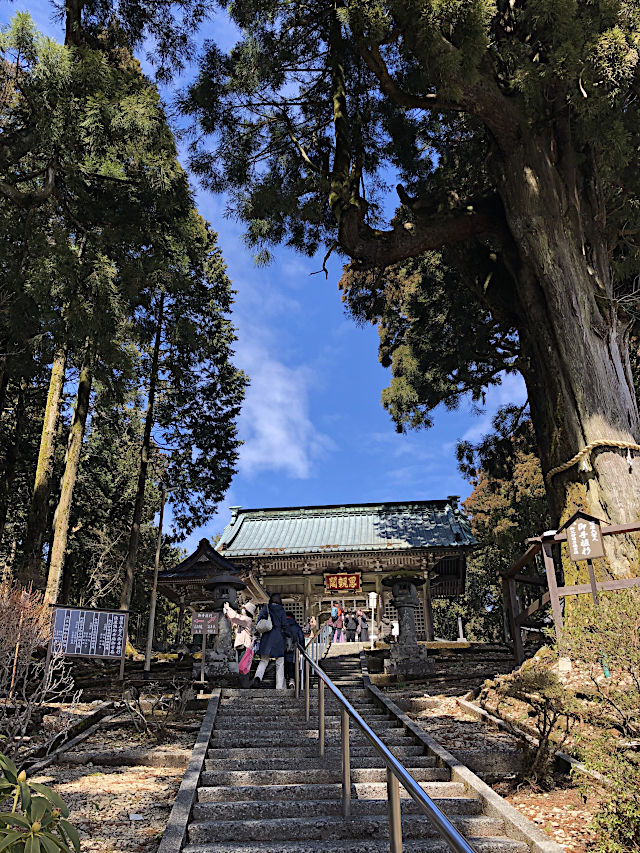 日蓮聖人の御手植杉と仁王門