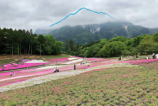 秩父羊山公園と武甲山