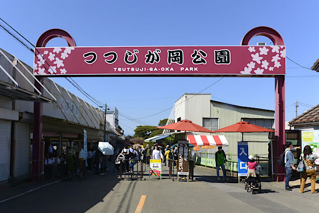 館林つつじが岡公園