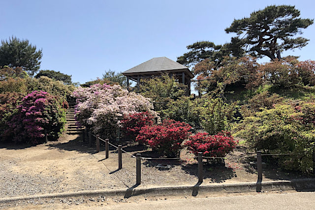 館林つつじが岡公園