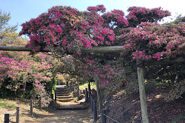 館林つつじが岡公園