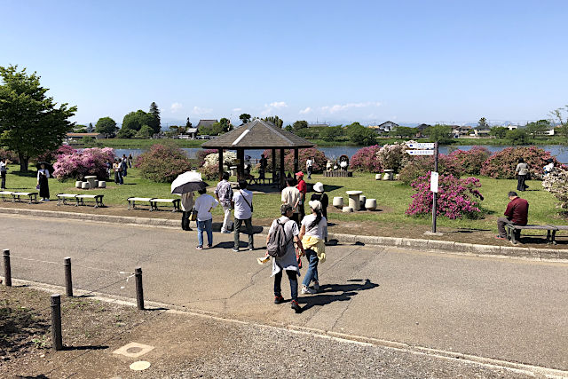 館林つつじが岡公園