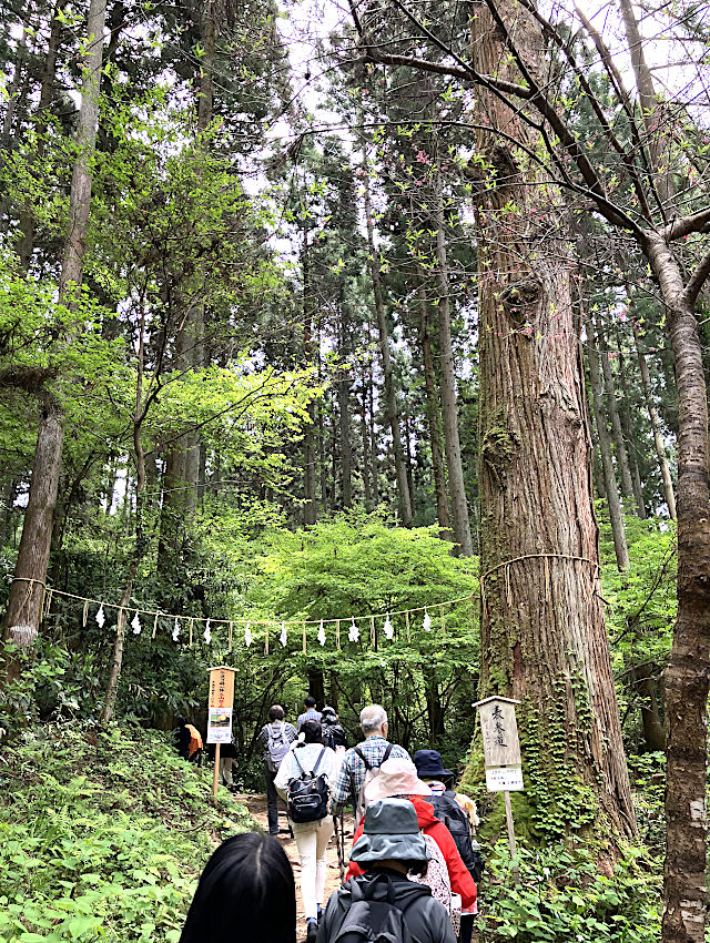 かびれ神宮への表参道